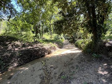 RANCHO EN VENTA EN MAPASTEPEC, CHIAPAS