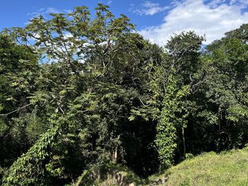 RANCHO EN VENTA EN MAPASTEPEC, CHIAPAS