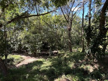RANCHO EN VENTA EN MAPASTEPEC, CHIAPAS