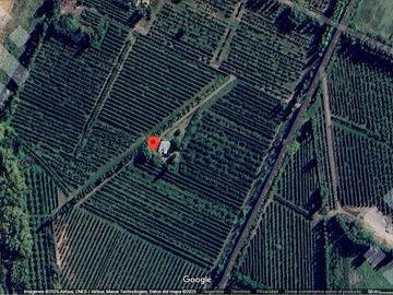 Venta Chacra 4 has - Cinco Saltos - Río Negro