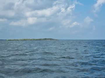 Rancho en Venta en San Felipe, Yucatán – 548 Hectáreas con Cenote y Riqueza Nat