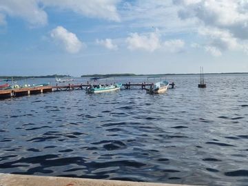 Rancho en Venta en San Felipe, Yucatán – 548 Hectáreas con Cenote y Riqueza Nat