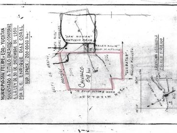 Rancho en Venta en San Felipe, Yucatán – 548 Hectáreas con Cenote y Riqueza Nat