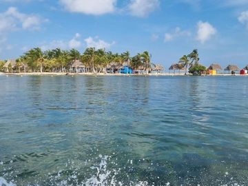Rancho en Venta en San Felipe, Yucatán – 548 Hectáreas con Cenote y Riqueza Nat