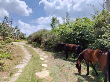 Se vende finca en Real del Monte, Hidalgo.