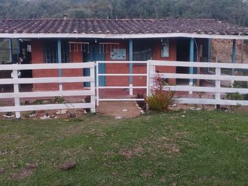 FINCA CON CONDICIONES PARA PARCELAR O GANADERIA.ALEJANDRIA ANT