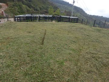 FINCA CON CONDICIONES PARA PARCELAR O GANADERIA.ALEJANDRIA ANT