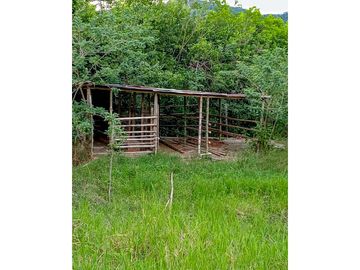 Casa-lote en la vía Alcalá-Cartago