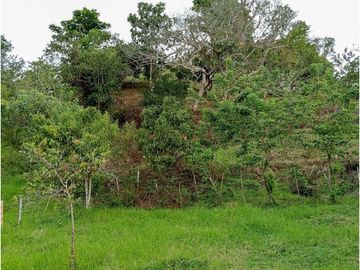 Casa-lote en la vía Alcalá-Cartago