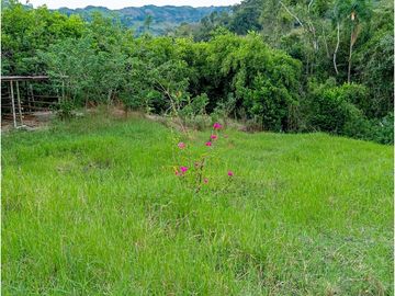 Casa-lote en la vía Alcalá-Cartago