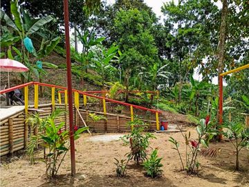 Casa-lote comercial sobre la vía Alcalá-Cartago