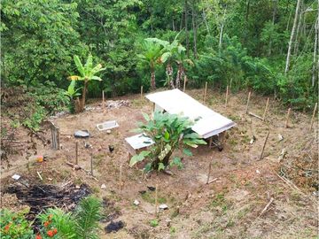 Casa-lote comercial sobre la vía Alcalá-Cartago