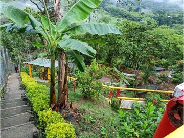 Casa-lote comercial sobre la vía Alcalá-Cartago