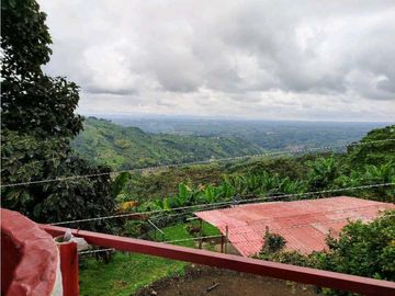 Se Vende Finca Cafetera En Cordoba Quindio