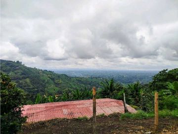 Se Vende Finca Cafetera En Cordoba Quindio