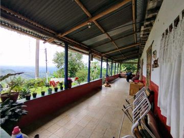 Se Vende Finca Cafetera En Cordoba Quindio