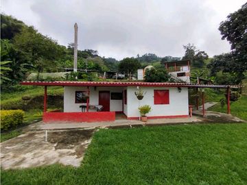 Se Vende Finca Cafetera En Cordoba Quindio