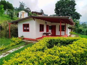 Se Vende Finca Cafetera En Cordoba Quindio