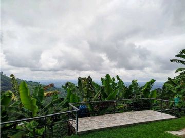 Se Vende Finca Cafetera En Cordoba Quindio