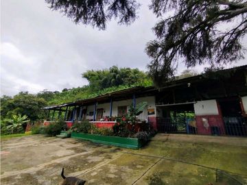 Se Vende Finca Cafetera En Cordoba Quindio