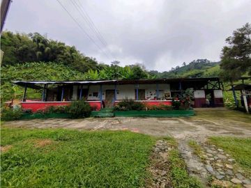 Se Vende Finca Cafetera En Cordoba Quindio