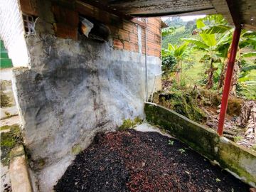 Se Vende Finca Cafetera En Cordoba Quindio