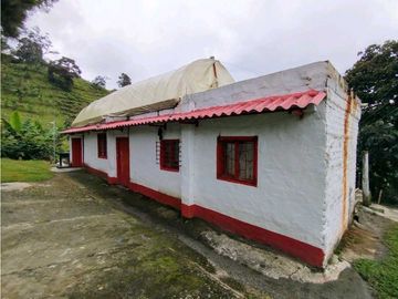 Se Vende Finca Cafetera En Cordoba Quindio