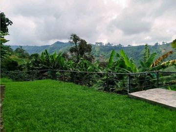 Se Vende Finca Cafetera En Cordoba Quindio