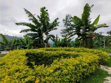 Se Vende Finca Cafetera En Cordoba Quindio