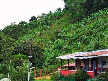 Se Vende Finca Cafetera En Cordoba Quindio
