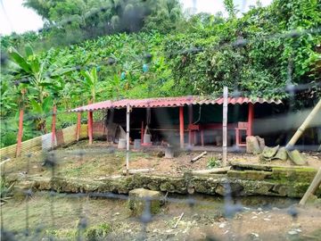 Se Vende Finca Cafetera En Cordoba Quindio