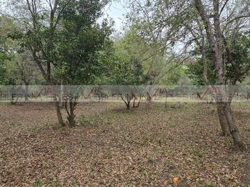 El Cerrito
