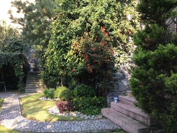 Hermosa Casa en Venta y Renta en Bosques de las Lomas