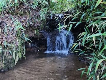 Agrícola en Venta en Panguipulli, Los rios