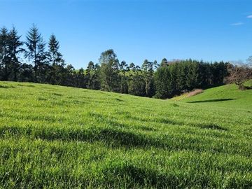 Agrícola en Venta en Panguipulli, Los rios