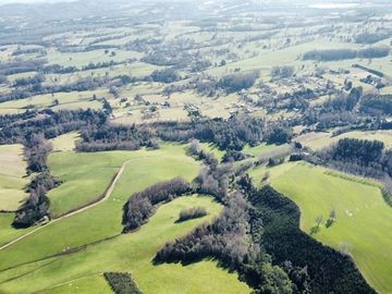 Agrícola en Venta en Panguipulli, Los rios