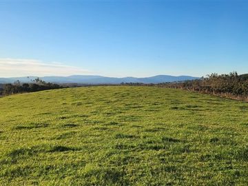 Agrícola en Venta en Panguipulli, Los rios