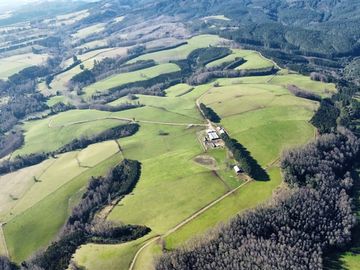 Agrícola en Venta en Panguipulli, Los rios