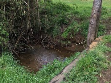 Agrícola en Venta en Panguipulli, Los rios