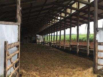 Agrícola en Venta en Panguipulli, Los rios