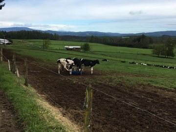 Agrícola en Venta en Panguipulli, Los rios