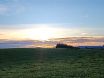 Agrícola en Venta en Panguipulli, Los rios