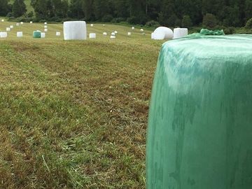 Agrícola en Venta en Panguipulli, Los rios