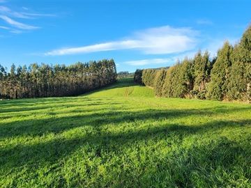 Agrícola en Venta en Panguipulli, Los rios