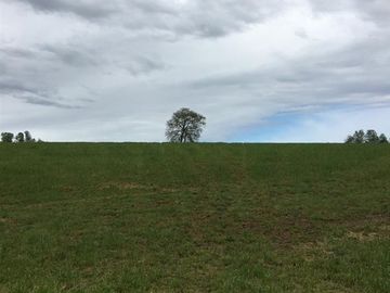 Agrícola en Venta en Panguipulli, Los rios