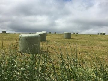 Agrícola en Venta en Panguipulli, Los rios