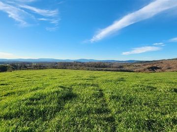 Agrícola en Venta en Panguipulli, Los rios
