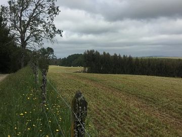 Agrícola en Venta en Panguipulli, Los rios
