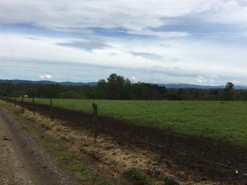 Agrícola en Venta en Panguipulli, Los rios