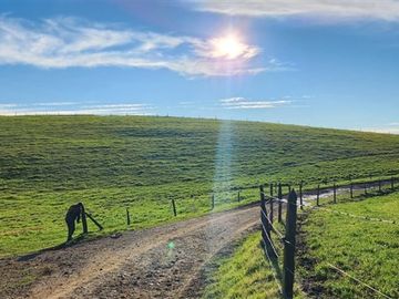 Agrícola en Venta en Panguipulli, Los rios